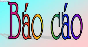 BÁO CÁO KẾT QUẢ CHƯƠNG TRÌNH MTQG XÂY DỰNG NÔNG THÔN MỚI NĂM 2019 PHỤC VỤ KIỂM ĐẾM, KIỂM TOÁN