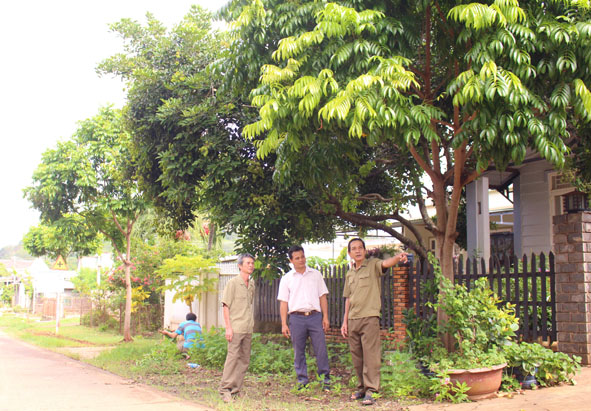 Cựu chiến binh huyện Cư M'gar: Nêu gương sáng xây dựng nông thôn mới