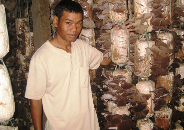 Đắk Lắk: Hiệu quả từ các mô hình sản xuất ở Cư Kuin