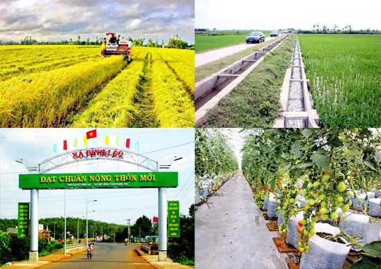 Kế hoạch triển khai thực hiện thôn, buôn nông thôn mới trên địa bàn 04 xã đặc biệt khó khăn khu vực biên giới, thuộc 02 huyện Buôn Đôn và Ea Súp, giai đoạn 2019 - 2020