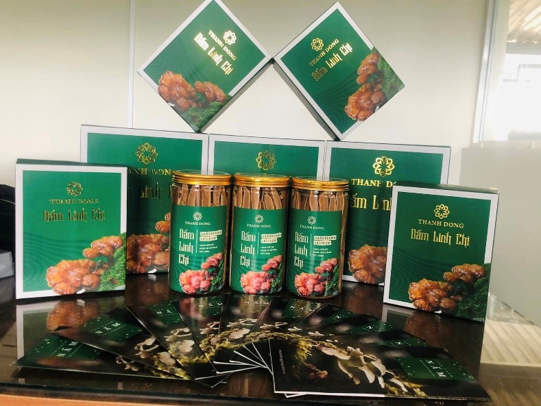 NẤM LINH CHI QUẢ THỂ/THÁI LÁT