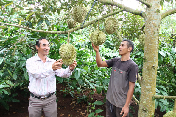 Phong trào "Đắk Lắk chung tay xây dựng nông thôn mới": Huy động được sức mạnh của toàn dân