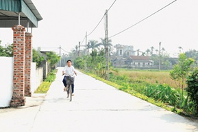 Triển khai thực hiện tiêu chí số 13 trong Bộ tiêu chí quốc gia về xã nông thôn mới giai đoạn 2016 - 2020