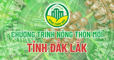 Bột Ca cao nguyên chất